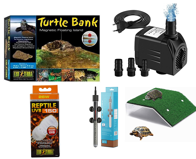 accesorios para tortugas