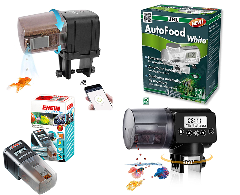 comederos automáticos para tortugas