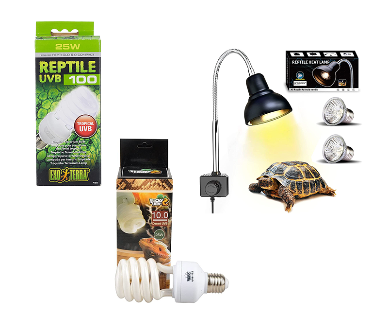 lamparas para tortugas