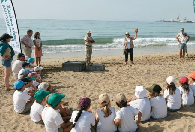 liberacion tortugas en fuerteventura